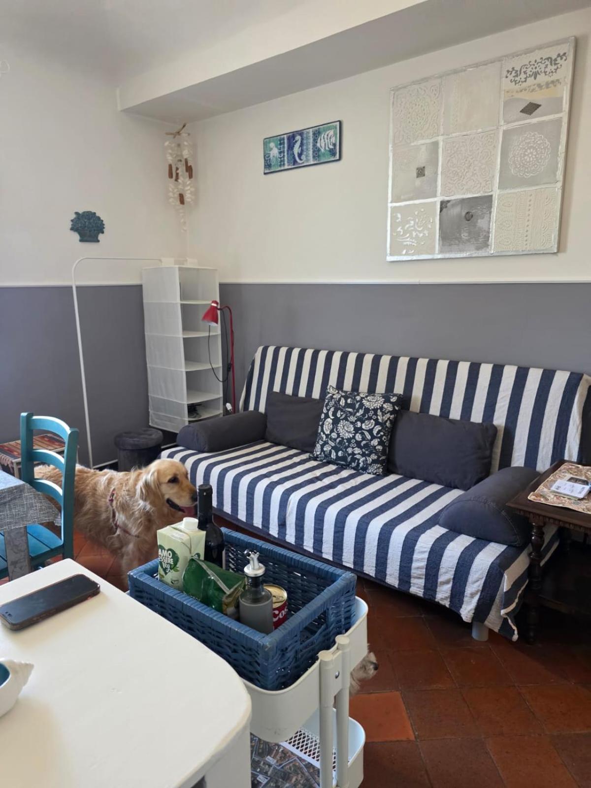 임페리아 The Shell - New Interior Look But Same Old Charme 200Mt From The Sea With Garden And Parking Nearby 아파트 외부 사진